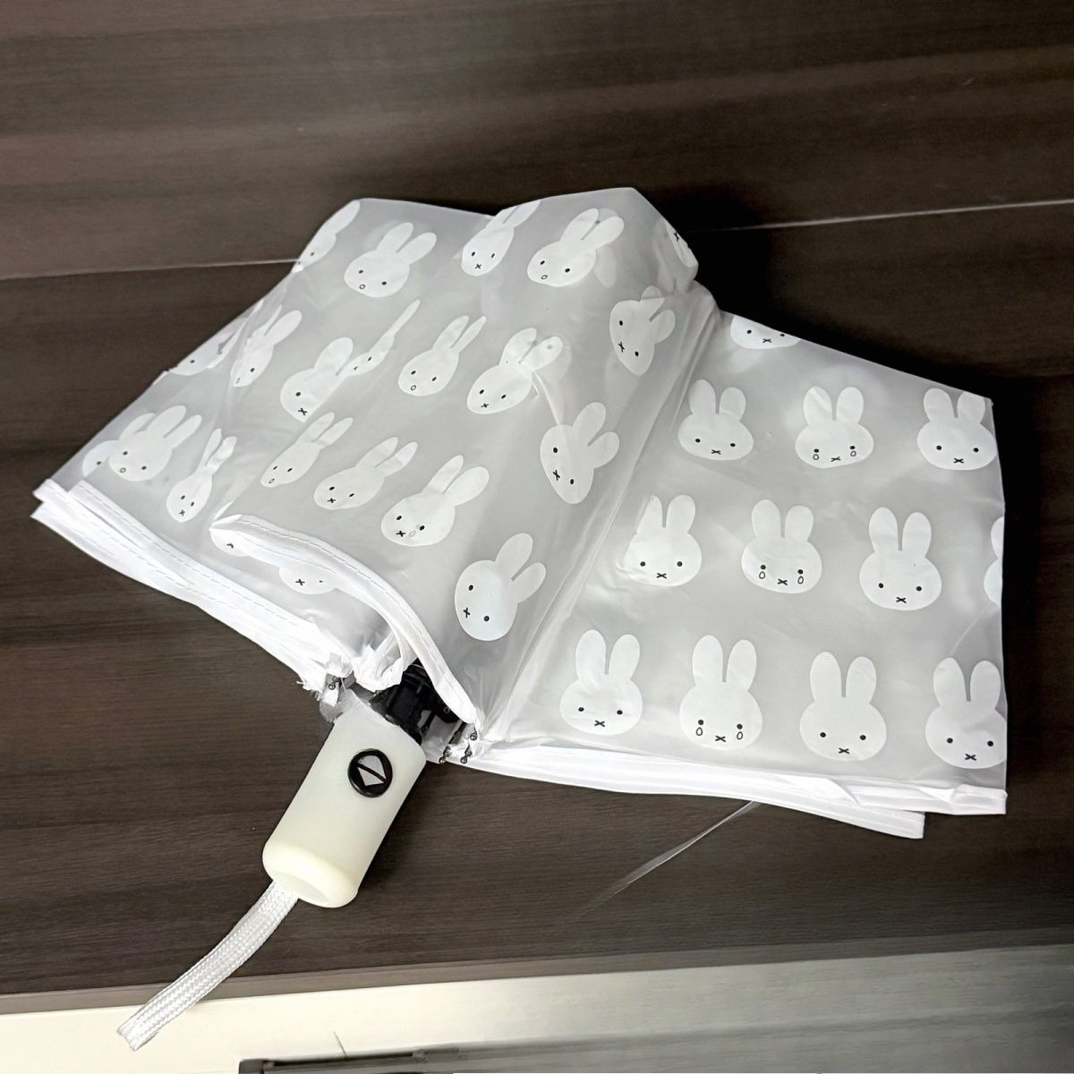 Outdoor Camping Japan - Sunny Rain Dull Polish Pure and