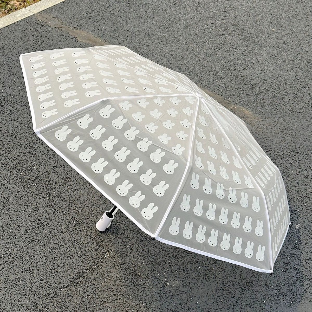 Sunny Rain Dull Polish Pure an - Outdoor Camping Japan recensie en prijs